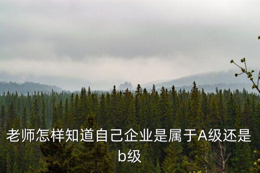 企業(yè)級(jí)別如何查，企業(yè)資質(zhì)等級(jí)怎樣查