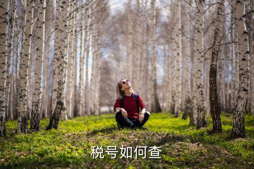 武漢如何查公司稅號(hào)，有誰知道公司名怎么查公司稅號(hào)