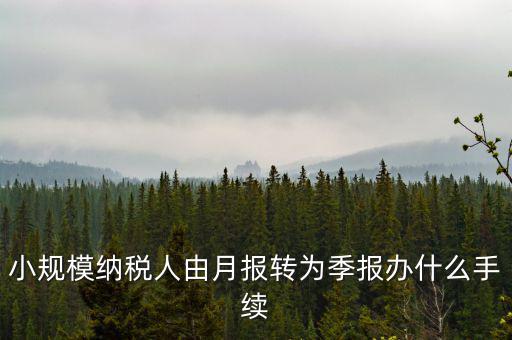 小規(guī)模附加稅如何改成按季申報(bào)，小規(guī)模納稅人增值稅按月申報(bào)可以改為按季度申報(bào)嗎