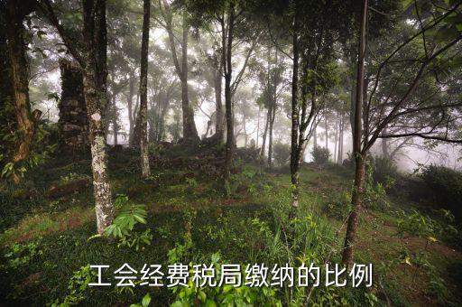 稅局代收的工會(huì)經(jīng)費(fèi)應(yīng)如何交納，稅務(wù)局代收的工會(huì)經(jīng)費(fèi)怎么交