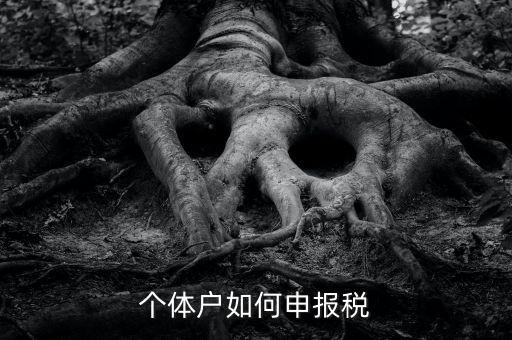 個(gè)體工商戶稅如何申報(bào)，個(gè)體工商戶個(gè)稅怎么報(bào)