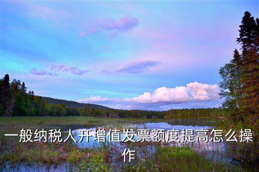 如何提高開票限額申請(qǐng)，一般納稅人開增值發(fā)票額度提高怎么操作
