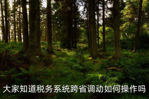 大家知道稅務系統(tǒng)跨省調(diào)動如何操作嗎