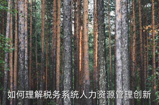 如何理解稅務系統人力資源管理創(chuàng)新