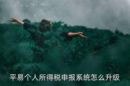 個(gè)稅如何在線升級(jí)，個(gè)稅系統(tǒng)的版本號(hào)V12146如何升級(jí)V12159