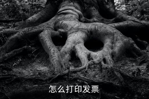 億企贏攜稅寶發(fā)票如何打印，這樣怎么打印電子發(fā)票