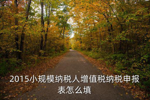 小規(guī)模納稅人國稅申報(bào)表如何填，小規(guī)模納稅人的報(bào)表怎么填