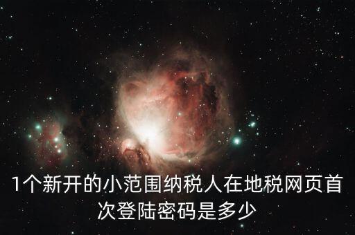 地稅ca如何登錄密碼是多少錢，1個新開的小范圍納稅人在地稅網(wǎng)頁首次登陸密碼是多少