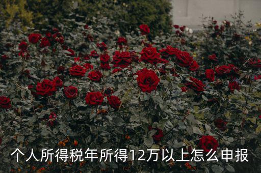 陜西地稅 12萬以上如何申報，個人所得稅年所得12萬以上怎么申報
