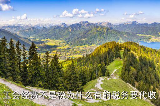 工會(huì)經(jīng)費(fèi)稅務(wù)機(jī)關(guān)如何代征的，工會(huì)經(jīng)費(fèi)不是稅為什么有的稅務(wù)要代收