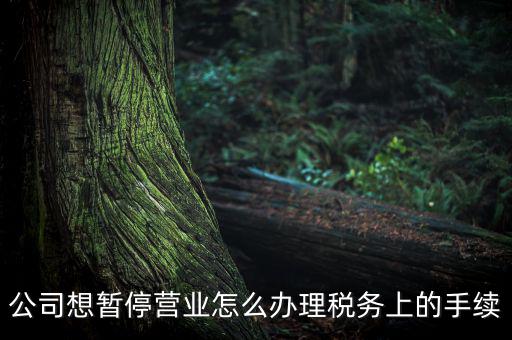 北京市如何辦理單位稅務暫停，企業(yè)暫停營業(yè)怎么辦理