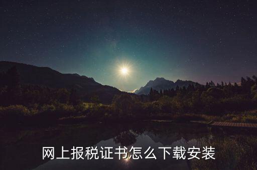如何下載電子稅務(wù)印章，網(wǎng)上報稅證書怎么下載安裝
