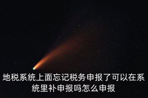 地稅如何補充申報表，地稅系統(tǒng)上面忘記稅務申報了可以在系統(tǒng)里補申報嗎怎么申報