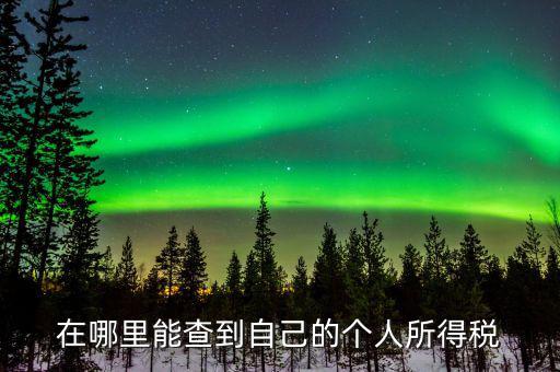 稅務(wù)如何查個稅，個稅怎么查