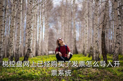 稅控盤(pán)網(wǎng)上已經(jīng)購(gòu)買(mǎi)了發(fā)票怎么導(dǎo)入開(kāi)票系統(tǒng)
