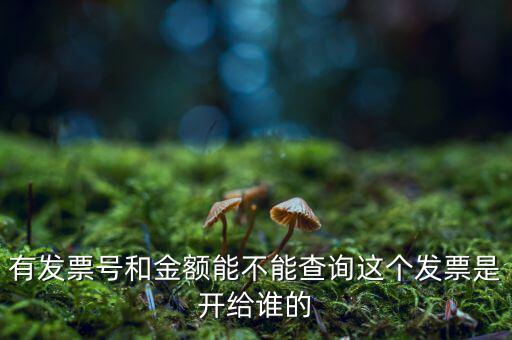 有發(fā)票號(hào)和金額能不能查詢這個(gè)發(fā)票是開(kāi)給誰(shuí)的
