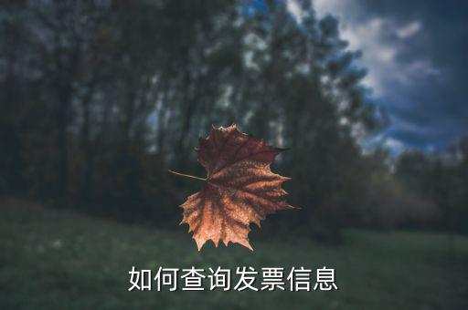 開票系統(tǒng)如何查詢票種，如何從金稅盤中看出公司票種