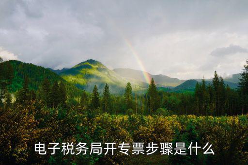 山西省稅務(wù)局網(wǎng)上如何開專票，如何開增值稅專用發(fā)票