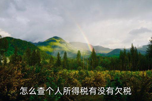 個人企業(yè)如何查欠稅啊，個體工商戶怎么查詢是否欠稅