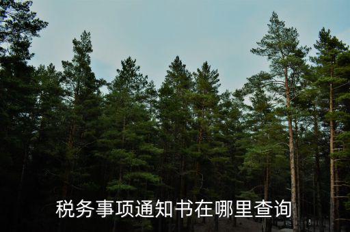 稅務(wù)事項(xiàng)通知書(shū)在哪里查詢(xún)