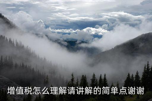 納稅人如何認(rèn)識(shí)增值，增值稅的理解