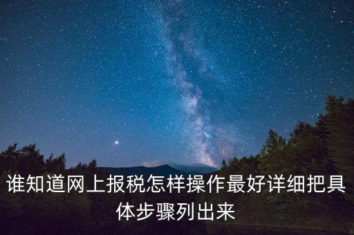 如何進(jìn)行網(wǎng)上納稅申報(bào)，如何進(jìn)行網(wǎng)上申報(bào)稅款