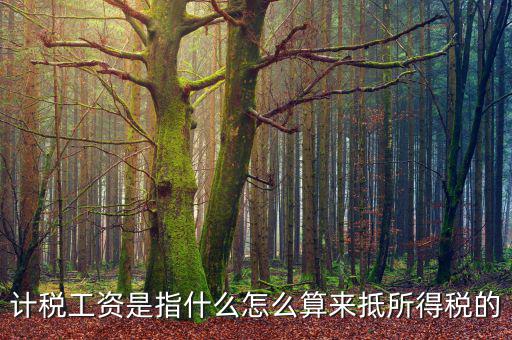 工資如何抵扣所得稅，企業(yè)所得稅工資抵扣的一些訣竅