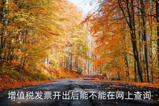 如何查詢(xún)發(fā)票完稅，稅控軟件上已經(jīng)開(kāi)的發(fā)票怎么查詢(xún)