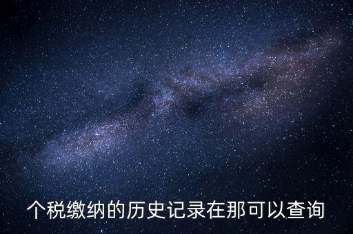 個稅繳納的歷史記錄在那可以查詢