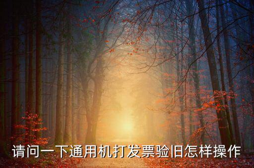 定額通用發(fā)票如何驗(yàn)舊，請問一下通用機(jī)打發(fā)票驗(yàn)舊怎樣操作