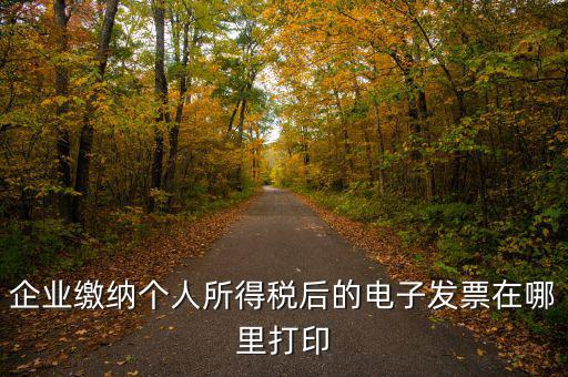 國稅網(wǎng)如何打印電子發(fā)票，增值稅電子普通發(fā)票怎么打印