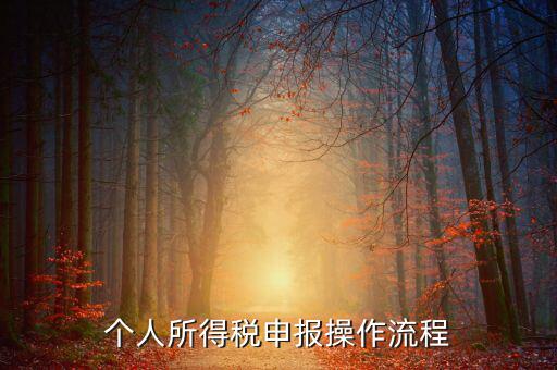 自然人所得稅如何安裝，個人所得稅如何進行申報和核算