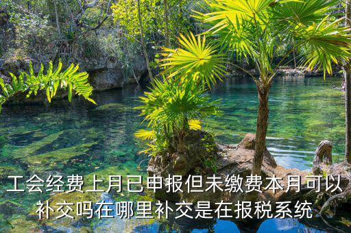 工會經(jīng)費(fèi)上月已申報(bào)但未繳費(fèi)本月可以補(bǔ)交嗎在哪里補(bǔ)交是在報(bào)稅系統(tǒng)