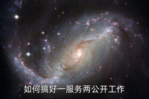 如何推進一案雙查工作，如何搞好一服務兩公開工作