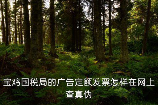 國(guó)稅定額發(fā)票如何查驗(yàn)，國(guó)稅的定額發(fā)票怎么辨別真假制作的跟假的似的