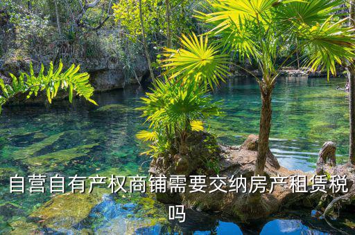 自有商鋪如何繳租賃稅，自有商鋪 是否交出租稅