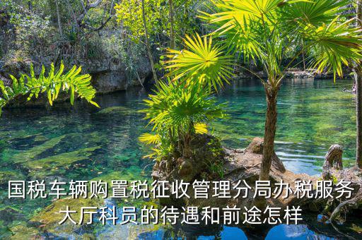 國(guó)稅車輛購(gòu)置稅征收管理分局辦稅服務(wù)大廳科員的待遇和前途怎樣