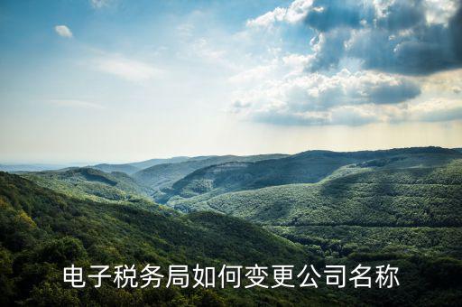 國(guó)稅系統(tǒng)如何更改公司，自然人電子稅務(wù)局怎么更換企業(yè)