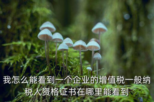 增值稅一般納稅人資格如何查詢，重慶國稅網(wǎng)如何查詢企業(yè)是否一般納稅人