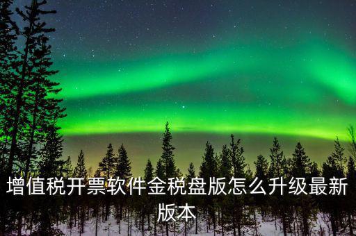 增值稅開(kāi)票軟件金稅盤(pán)版怎么升級(jí)最新版本