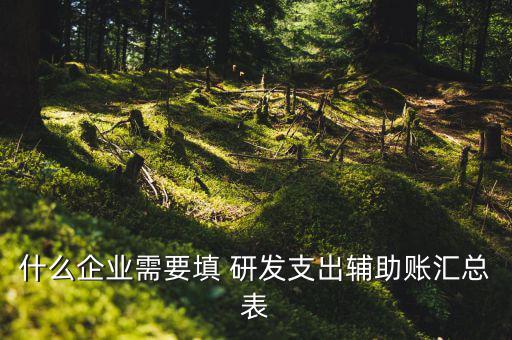 研發(fā)支出 輔助賬匯總表如何填寫，什么企業(yè)需要填 研發(fā)支出輔助賬匯總表