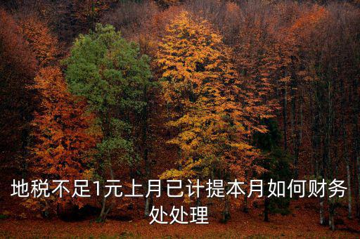 財務處如何落實數(shù)據(jù)地稅，地稅不足1元上月已計提本月如何財務處處理