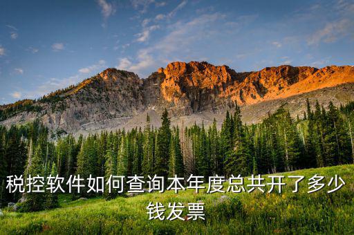 稅控軟件如何查詢本年度總共開(kāi)了多少錢發(fā)票