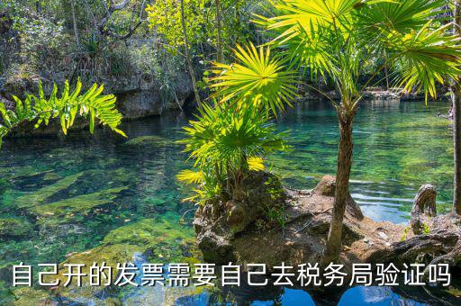 如何去稅務局驗證發(fā)票嗎，發(fā)票怎么去稅務局驗證需要什么資料