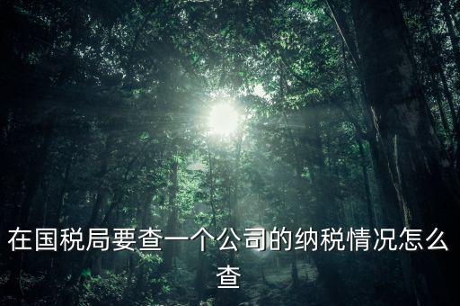 企業(yè)如何查詢納稅等級(jí)，在國(guó)稅局要查一個(gè)公司的納稅情況怎么查