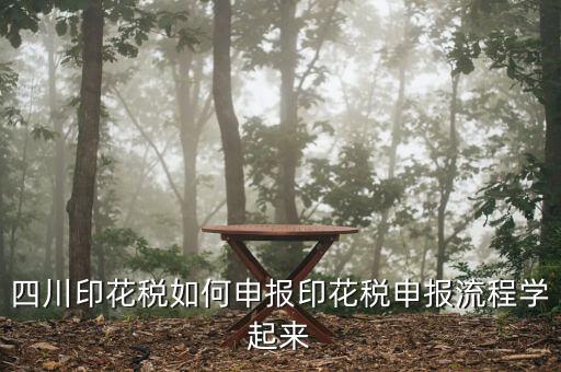 四川企業(yè)地稅如何網(wǎng)上申報，四川地稅企業(yè)所得稅怎么申報