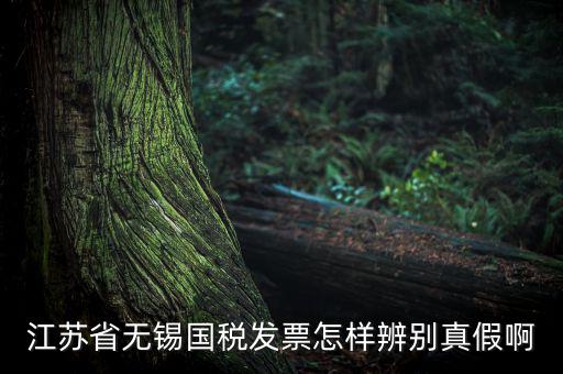 如何查詢無錫國稅發(fā)票真?zhèn)尾樵?，江蘇省無錫國稅發(fā)票怎樣辨別真假啊