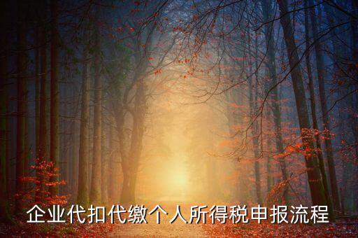 網(wǎng)上如何進(jìn)入代扣代繳申報(bào)，企業(yè)代扣代繳個(gè)人所得稅申報(bào)流程