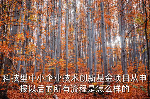 科技型優(yōu)惠如何備案，研發(fā)費用加計扣除優(yōu)惠備案的要點有哪些