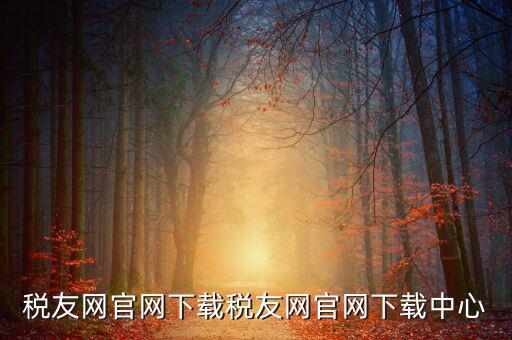 稅友如何下載，個(gè)稅在稅友網(wǎng)上下載下來(lái)了然后怎么安裝